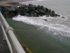 Gull Point, Foreshore