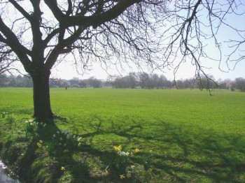 New Development, Basingstoke New Development, Basingstoke