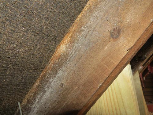 Examples of Survey Defects | RBC Surveyors